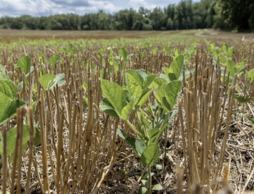 STAR Joins Illinois Sustainable Ag Partnership